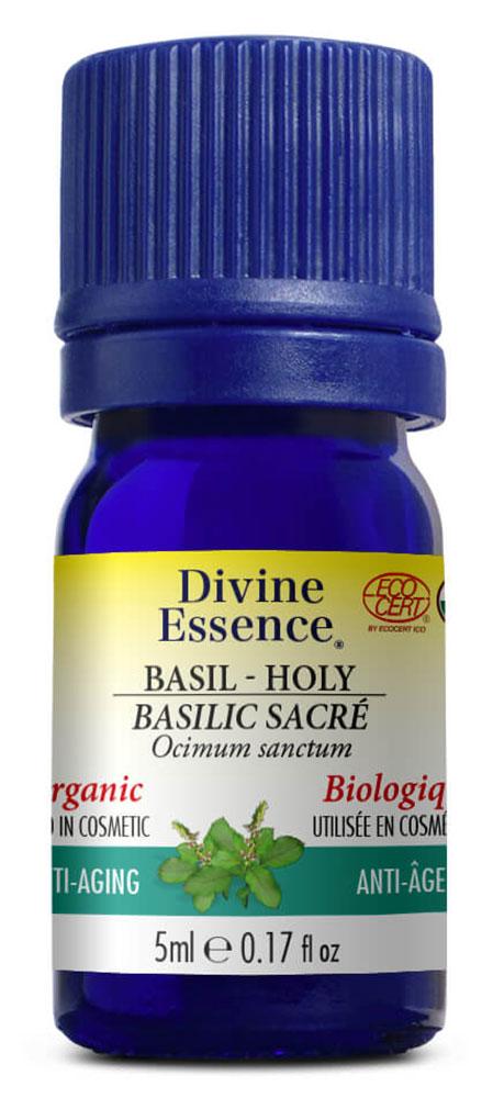 DIVINE ESSENCE Basil - Holy (Organic - 5 ml)